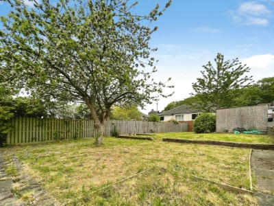 Picture 14